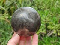 Polished Pharaoh Stone Spheres x 2 From Zimbabwe - Toprock Gemstones and Minerals 