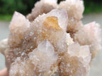 Natural Amethyst Spirit Quartz Clusters x 2 From Boekenhouthoek, South Africa - Toprock Gemstones and Minerals 