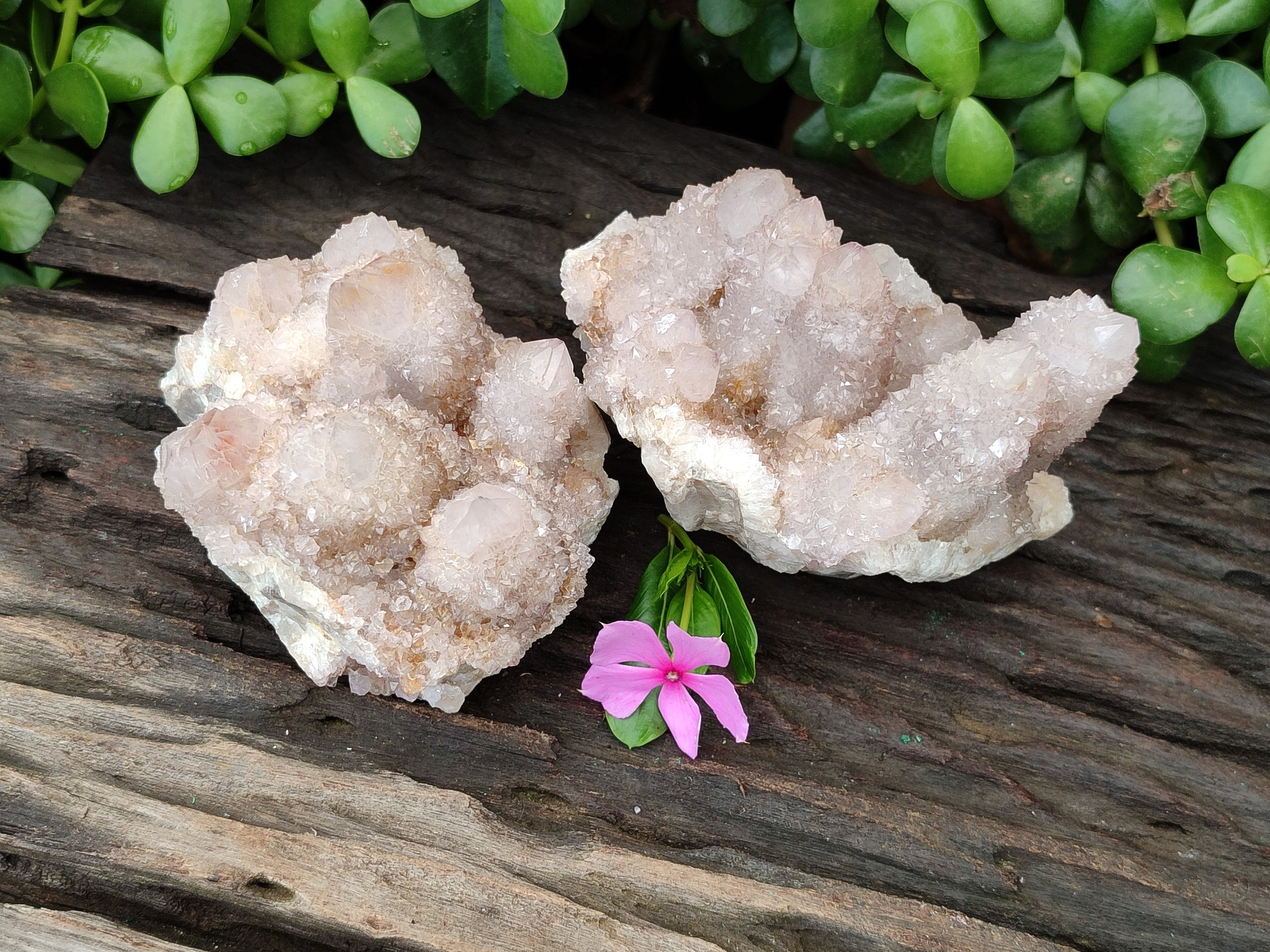 Natural Amethyst Spirit Quartz Clusters x 2 From Boekenhouthoek, South Africa - Toprock Gemstones and Minerals 