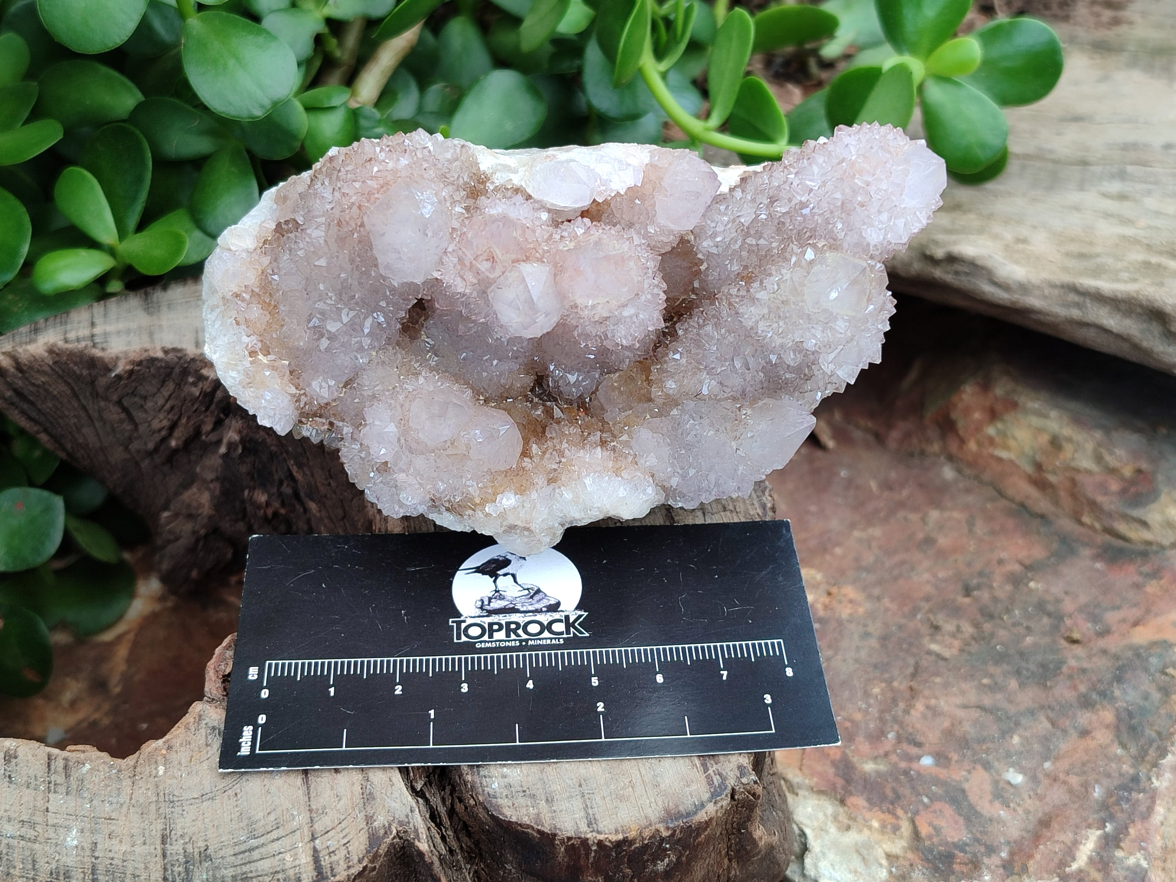Natural Amethyst Spirit Quartz Clusters x 2 From Boekenhouthoek, South Africa - Toprock Gemstones and Minerals 