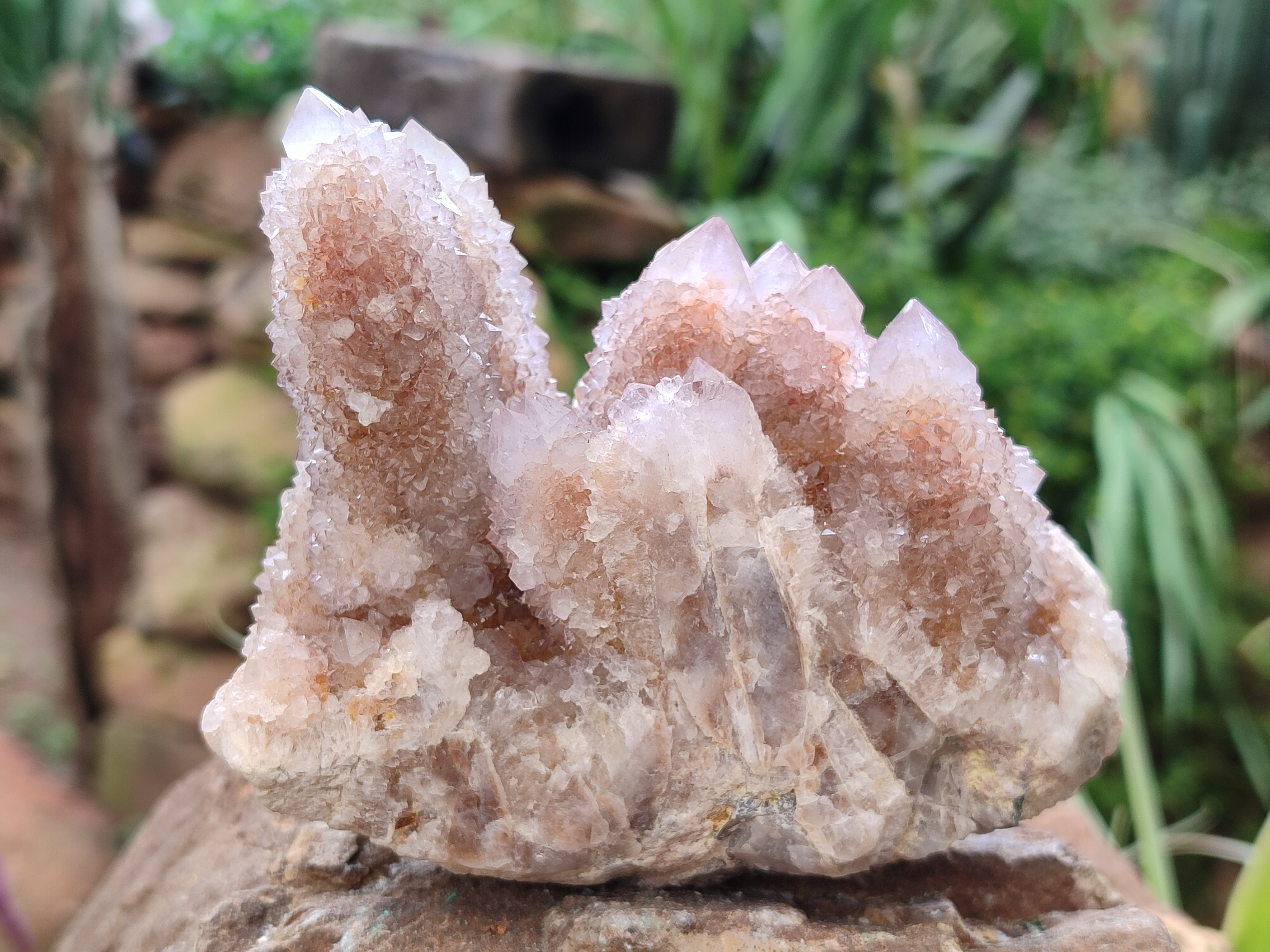 Natural Amethyst Spirit Quartz Clusters x 2 From Boekenhouthoek, South Africa - Toprock Gemstones and Minerals 