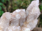 Natural Amethyst Spirit Quartz Clusters x 2 From Boekenhouthoek, South Africa - Toprock Gemstones and Minerals 
