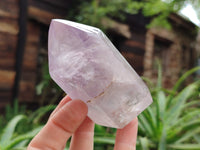 Polished Window Amethyst Quartz Crystals x 9 From Akansobe, Madagascar - Toprock Gemstones and Minerals 