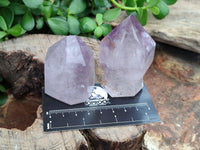 Polished Window Amethyst Quartz Crystals x 9 From Akansobe, Madagascar - Toprock Gemstones and Minerals 