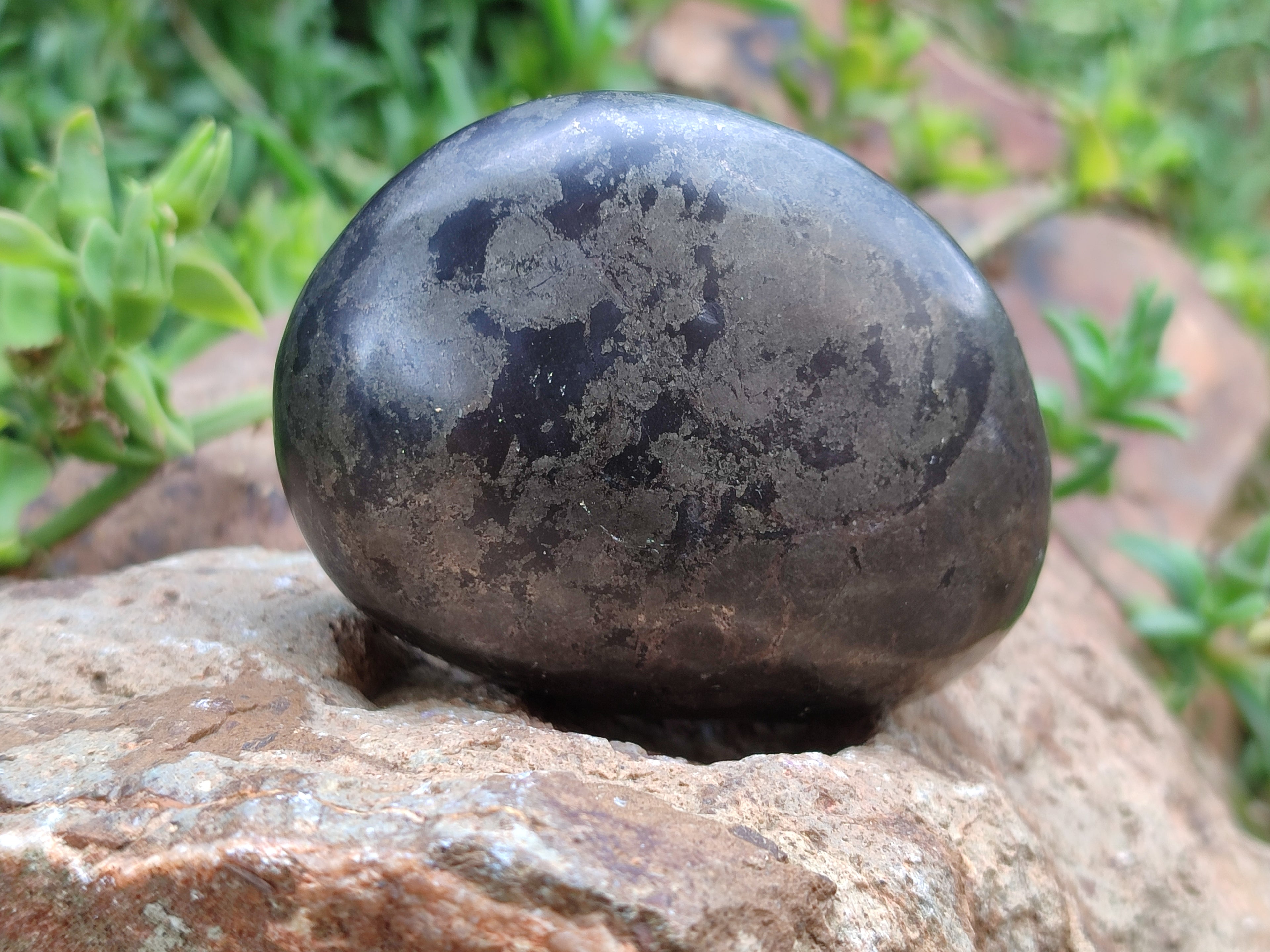 Polished Pharaoh Stone Free Forms x 4 From Zimbabwe - Toprock Gemstones and Minerals 