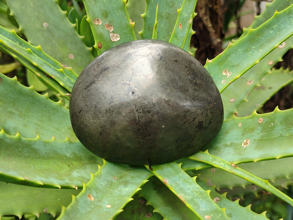 Polished Pharaoh Stone Free Forms x 4 From Zimbabwe - Toprock Gemstones and Minerals 