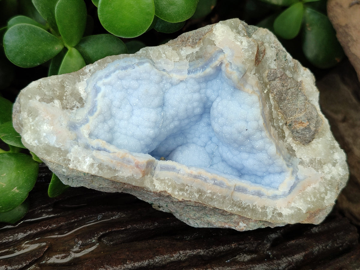Natural Blue Lace Agate Geode Specimens x 12 From Malawi - Toprock Gemstones and Minerals 