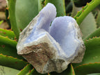 Natural Blue Lace Agate Geode Specimens x 12 From Malawi - Toprock Gemstones and Minerals 
