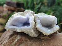 Natural Blue Lace Agate Geode Specimens x 12 From Malawi - Toprock Gemstones and Minerals 