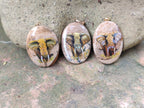 Polished Picture Stone Pendant with Hand Painted Elephant - Sold Per Item - From Namibia - Toprock Gemstones and Minerals 