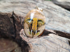 Polished Picture Stone Pendant with Hand Painted Elephant - Sold Per Item - From Namibia - Toprock Gemstones and Minerals 