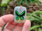 Polished Polychrome Jasper Pendant with Hand Painted Butterflies - sold per item - From Madagascar - Toprock Gemstones and Minerals 