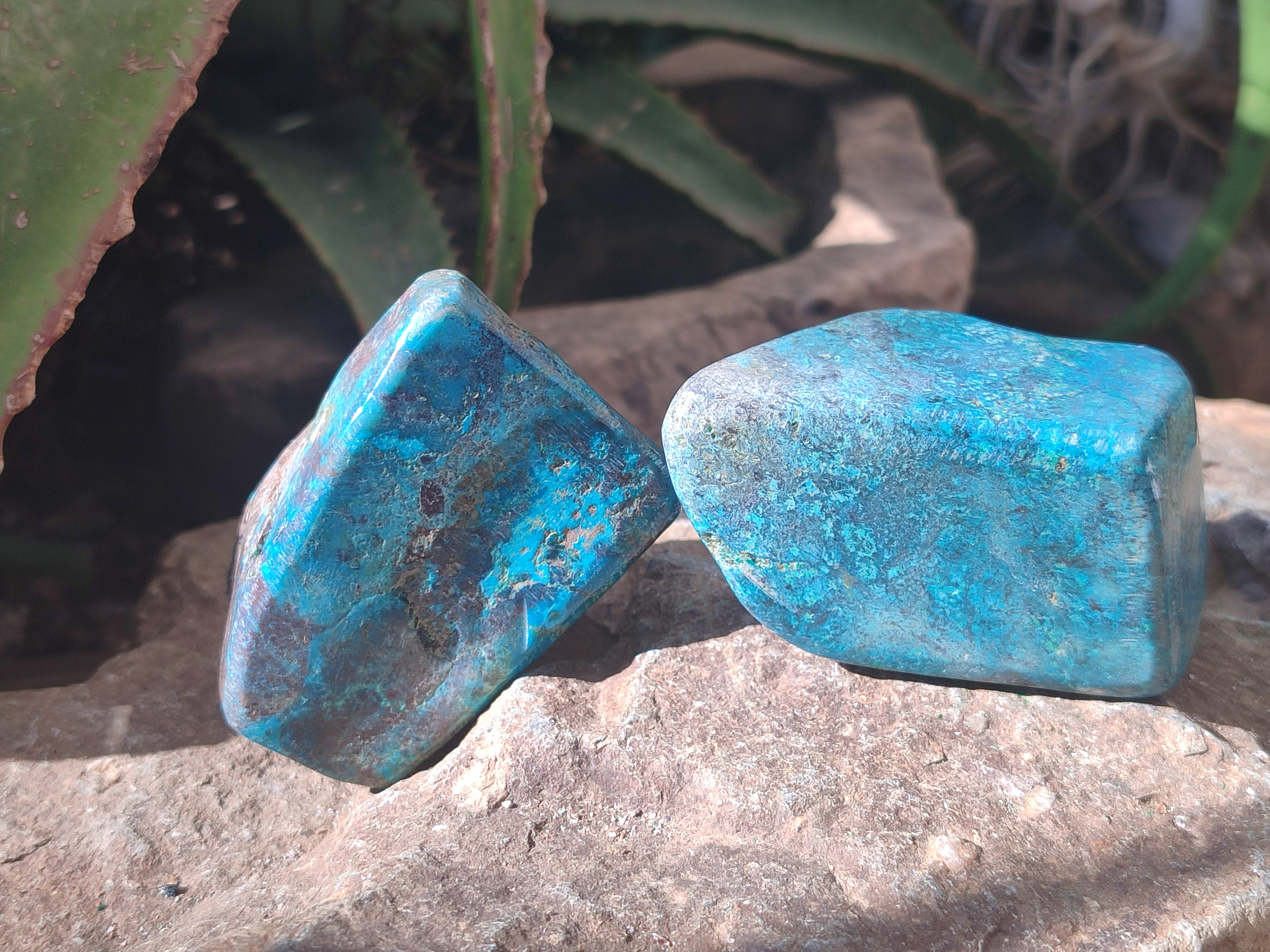 Polished Shattuckite with Azurite and Chrysocolla Free Forms x 6 From Congo - Toprock Gemstones and Minerals 