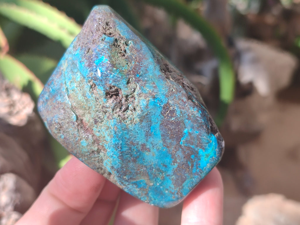 Polished Shattuckite with Azurite and Chrysocolla Free Forms x 6 From Congo - Toprock Gemstones and Minerals 