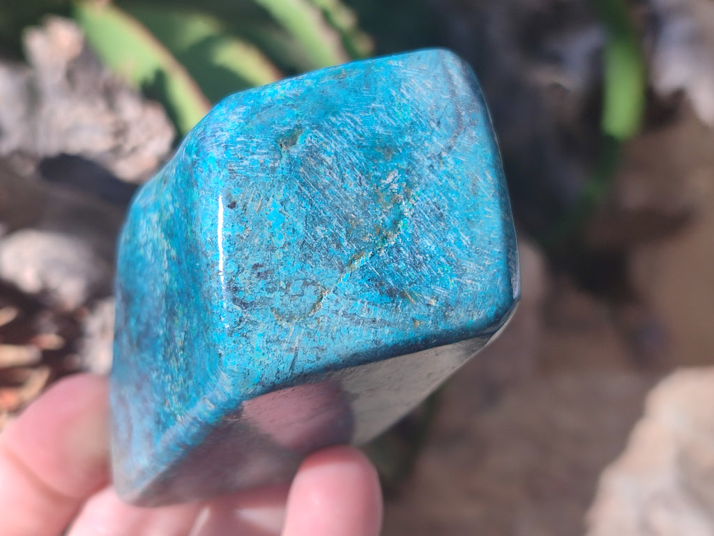 Polished Shattuckite with Azurite and Chrysocolla Free Forms x 6 From Congo - Toprock Gemstones and Minerals 