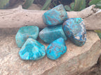 Polished Shattuckite with Azurite and Chrysocolla Free Forms x 6 From Congo - Toprock Gemstones and Minerals 