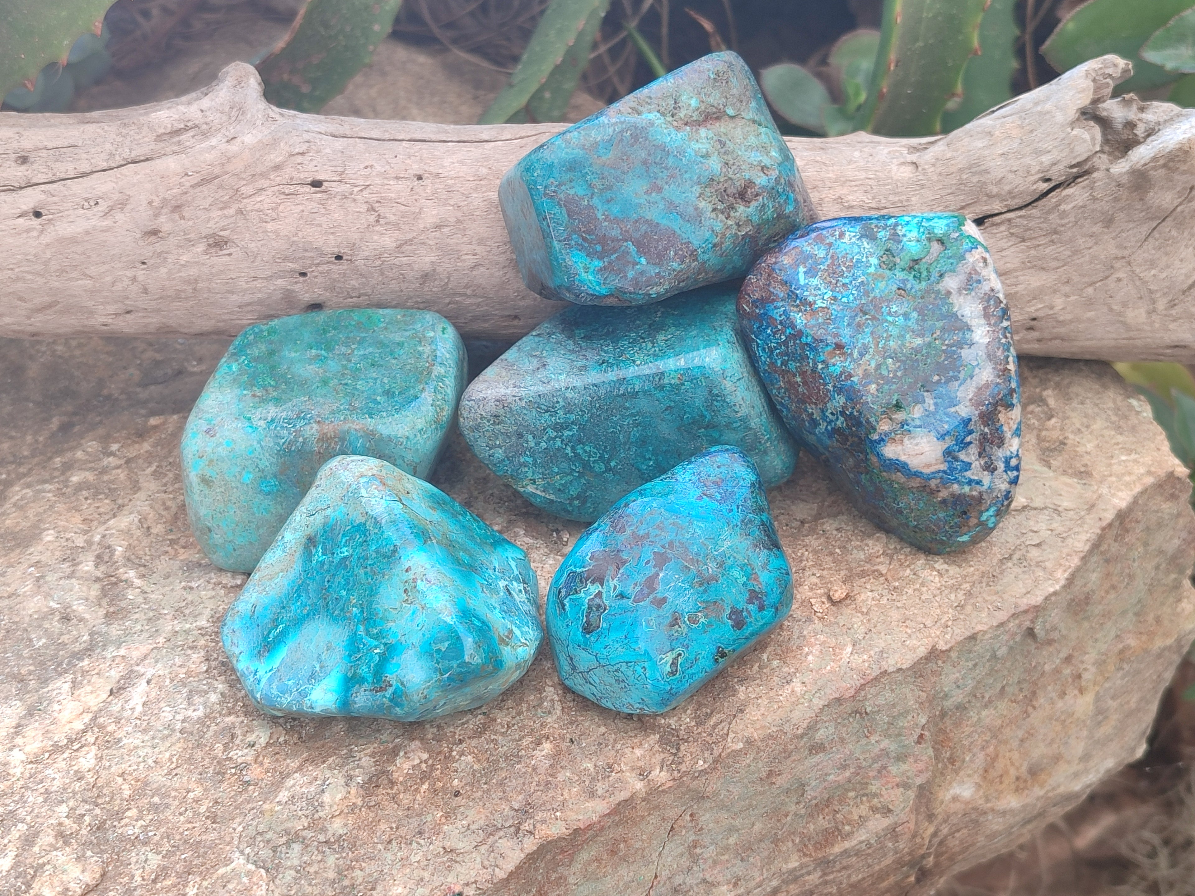 Polished Shattuckite with Azurite and Chrysocolla Free Forms x 6 From Congo - Toprock Gemstones and Minerals 