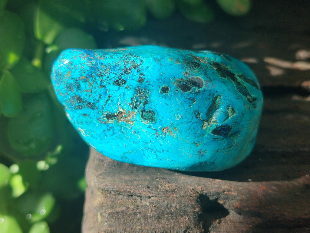 Polished Shattuckite with Azurite and Chrysocolla Free Forms x 6 From Congo - Toprock Gemstones and Minerals 