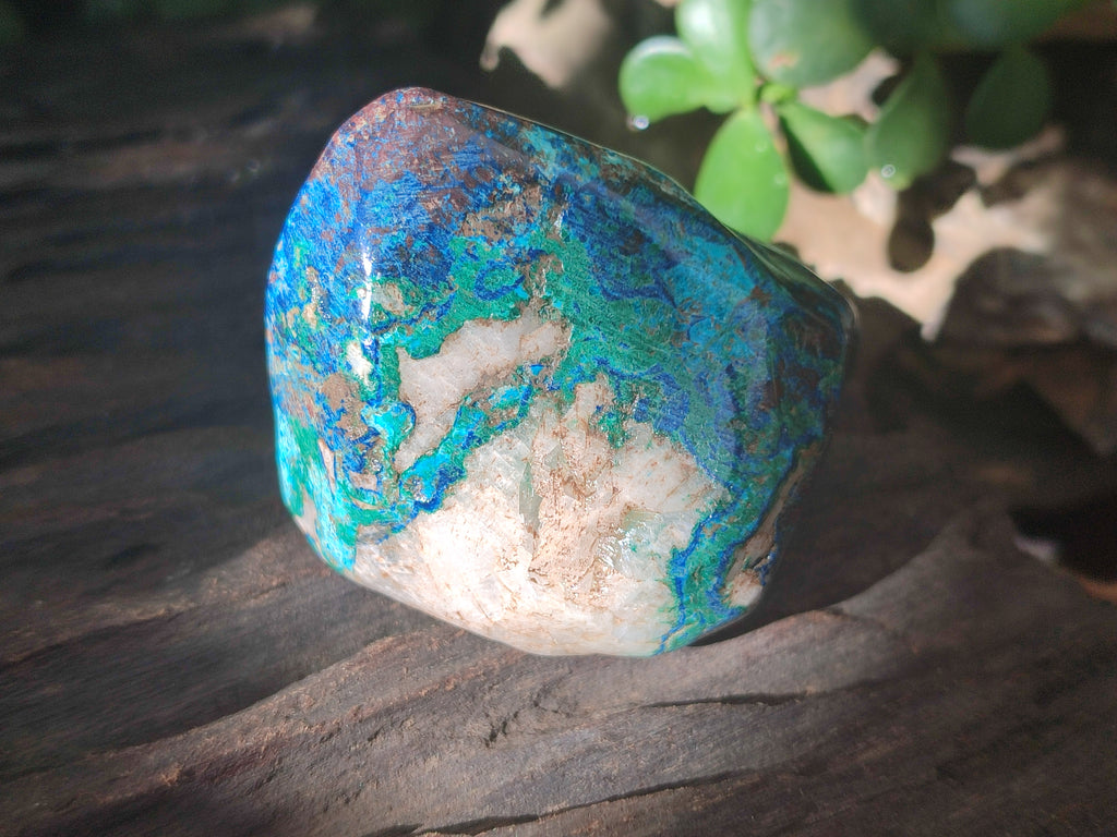 Polished Shattuckite with Azurite and Chrysocolla Free Forms x 6 From Congo - Toprock Gemstones and Minerals 