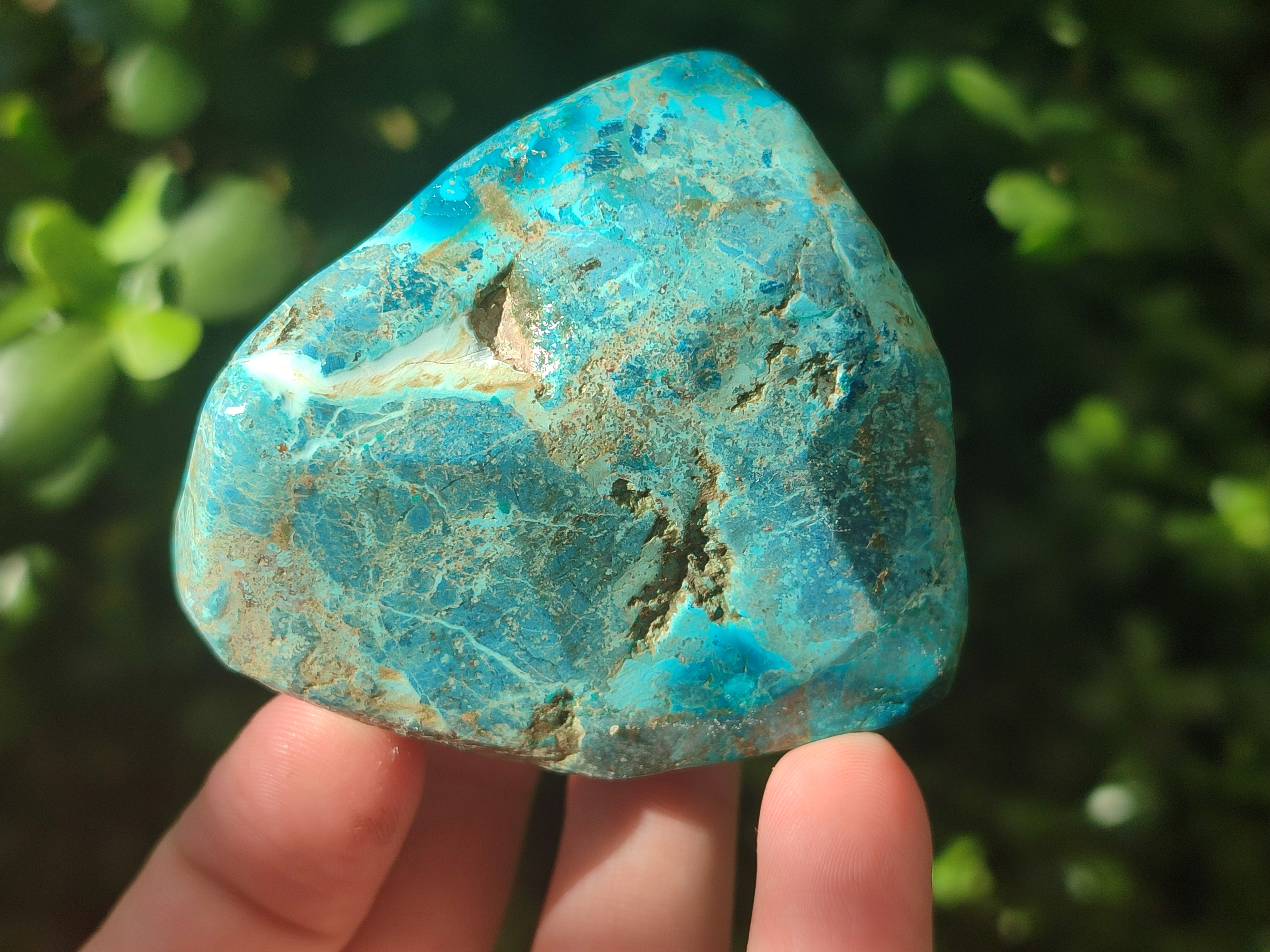 Polished Shattuckite with Azurite and Chrysocolla Free Forms x 6 From Congo - Toprock Gemstones and Minerals 
