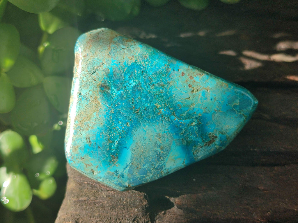 Polished Shattuckite with Azurite and Chrysocolla Free Forms x 6 From Congo - Toprock Gemstones and Minerals 