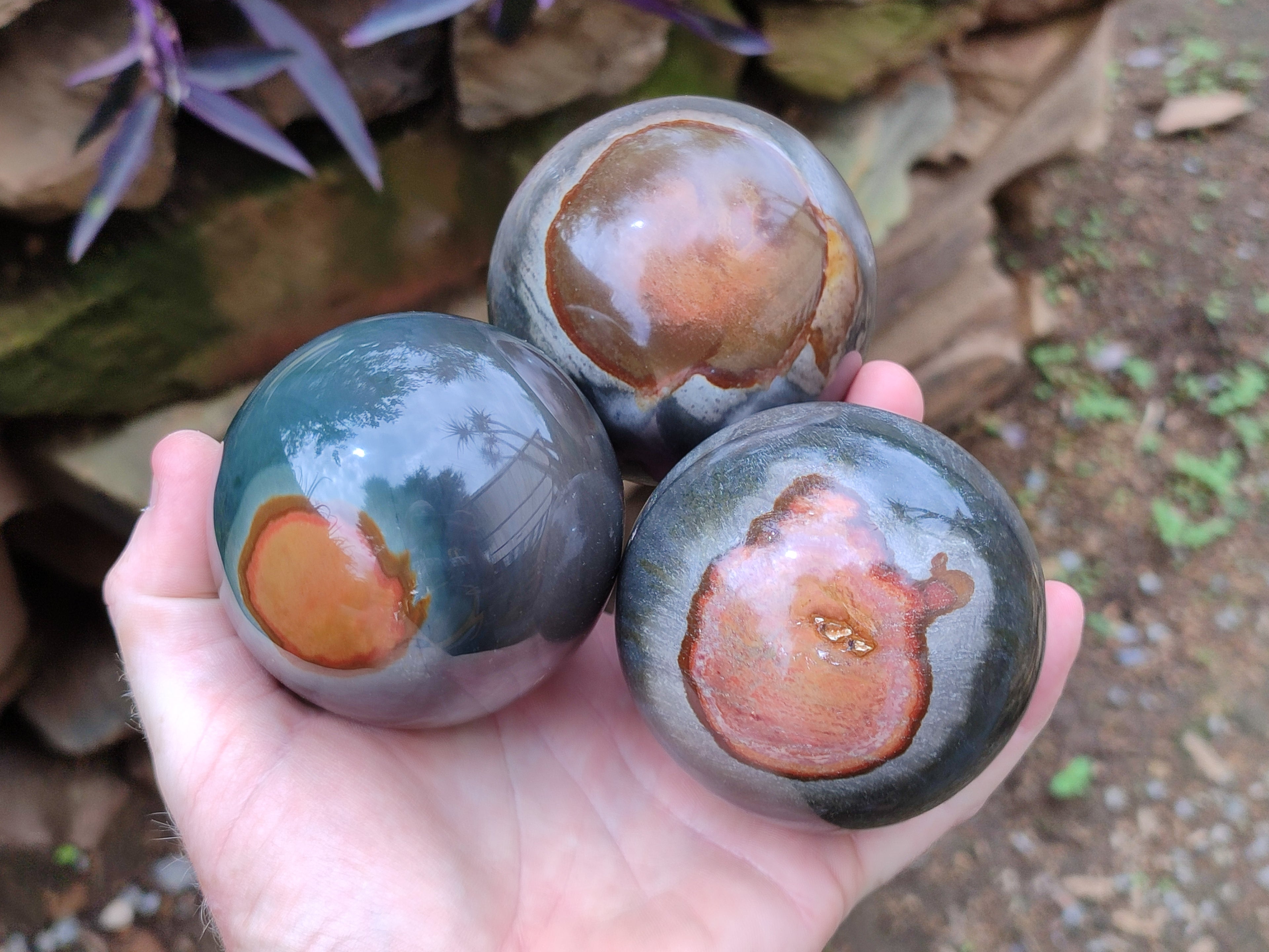 Polished Polychrome Jasper Spheres x 3 From Mahajanga, Madagascar - Toprock Gemstones and Minerals 