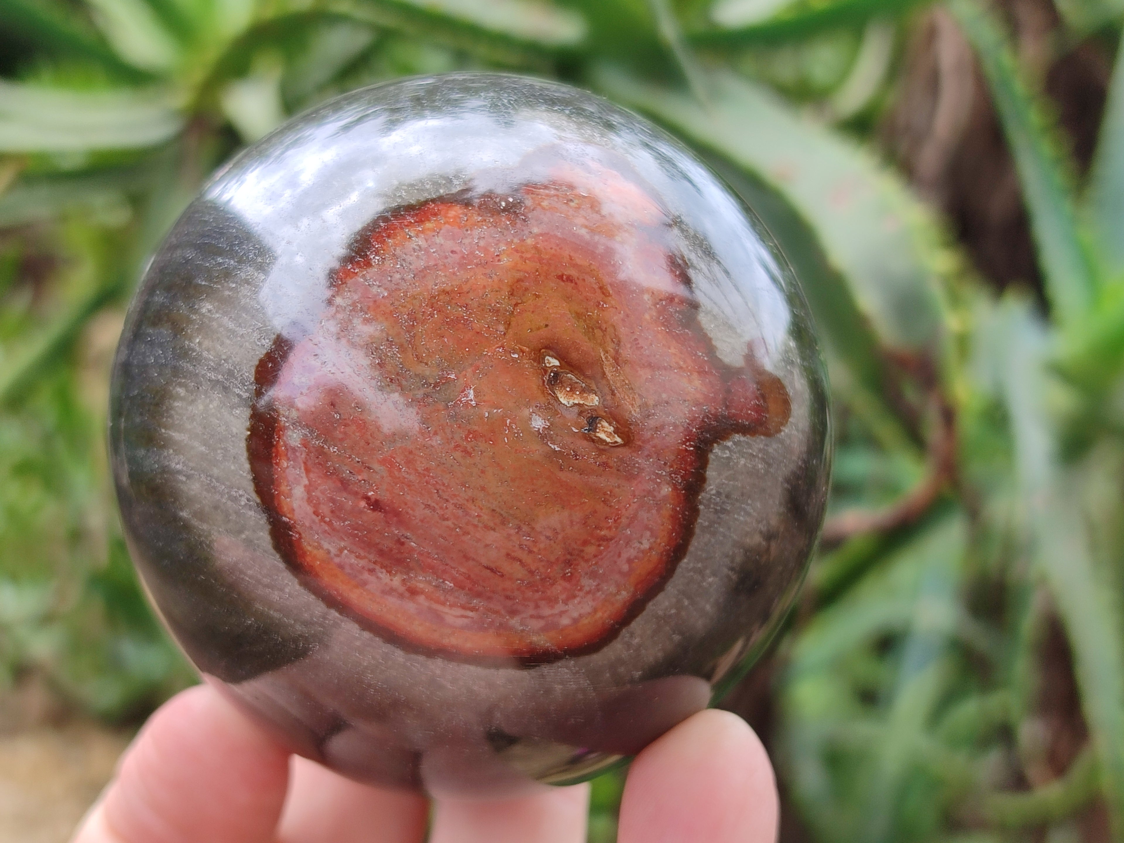 Polished Polychrome Jasper Spheres x 3 From Mahajanga, Madagascar - Toprock Gemstones and Minerals 