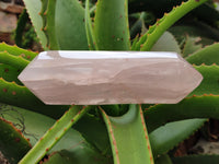 Polished Double Terminated Rose Quartz Points x 6 From Ambatondrazaka, Madagascar