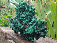 Natural Museum Piece Malachite Stalactite Specimen x 1 From Tenke Fungurume, Congo - Toprock Gemstones and Minerals 