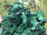 Natural Museum Piece Malachite Stalactite Specimen x 1 From Tenke Fungurume, Congo - Toprock Gemstones and Minerals 