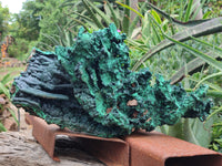 Natural Museum Piece Malachite Stalactite Specimen x 1 From Tenke Fungurume, Congo - Toprock Gemstones and Minerals 