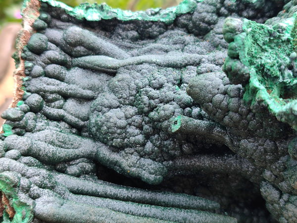 Natural Museum Piece Malachite Stalactite Specimen x 1 From Tenke Fungurume, Congo - Toprock Gemstones and Minerals 