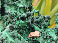 Natural Museum Piece Malachite Stalactite Specimen x 1 From Tenke Fungurume, Congo - Toprock Gemstones and Minerals 