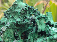 Natural Museum Piece Malachite Stalactite Specimen x 1 From Tenke Fungurume, Congo - Toprock Gemstones and Minerals 
