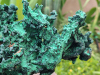 Natural Museum Piece Malachite Stalactite Specimen x 1 From Tenke Fungurume, Congo - Toprock Gemstones and Minerals 