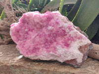 Natural Rare Rhodocalcite Specimen x 1 From Mashamba West, Congo - Toprock Gemstones and Minerals 
