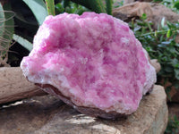 Natural Rare Rhodocalcite Specimen x 1 From Mashamba West, Congo - Toprock Gemstones and Minerals 