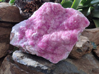 Natural Rare Rhodocalcite Specimen x 1 From Mashamba West, Congo - Toprock Gemstones and Minerals 