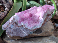 Natural Rare Rhodocalcite Specimen x 1 From Mashamba West, Congo - Toprock Gemstones and Minerals 