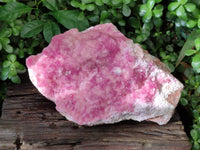 Natural Rare Rhodocalcite Specimen x 1 From Mashamba West, Congo - Toprock Gemstones and Minerals 