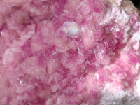 Natural Rare Rhodocalcite Specimen x 1 From Mashamba West, Congo - Toprock Gemstones and Minerals 