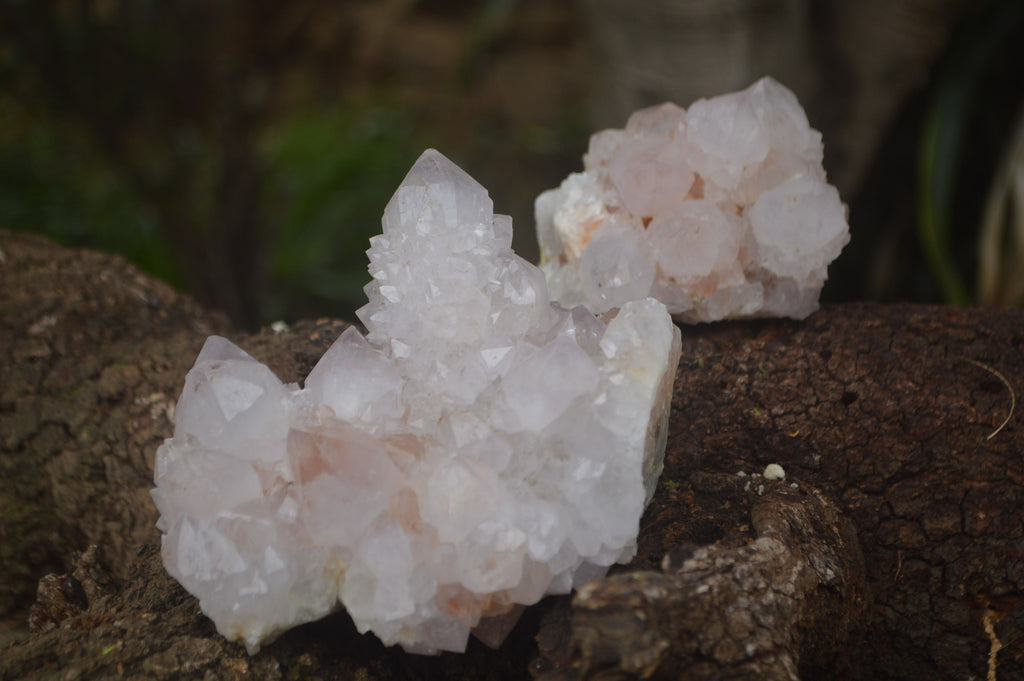 Natural Amethyst Spirit Quartz Clusters x 2 From Boekenhouthoek, South Africa - Toprock Gemstones and Minerals 