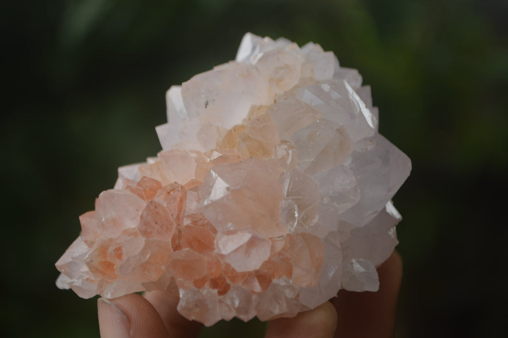 Natural Amethyst Spirit Quartz Clusters x 12 From Boekenhouthoek, South Africa - Toprock Gemstones and Minerals 