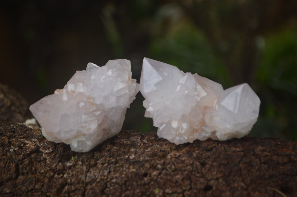 Natural Amethyst Spirit Quartz Clusters x 12 From Boekenhouthoek, South Africa - Toprock Gemstones and Minerals 