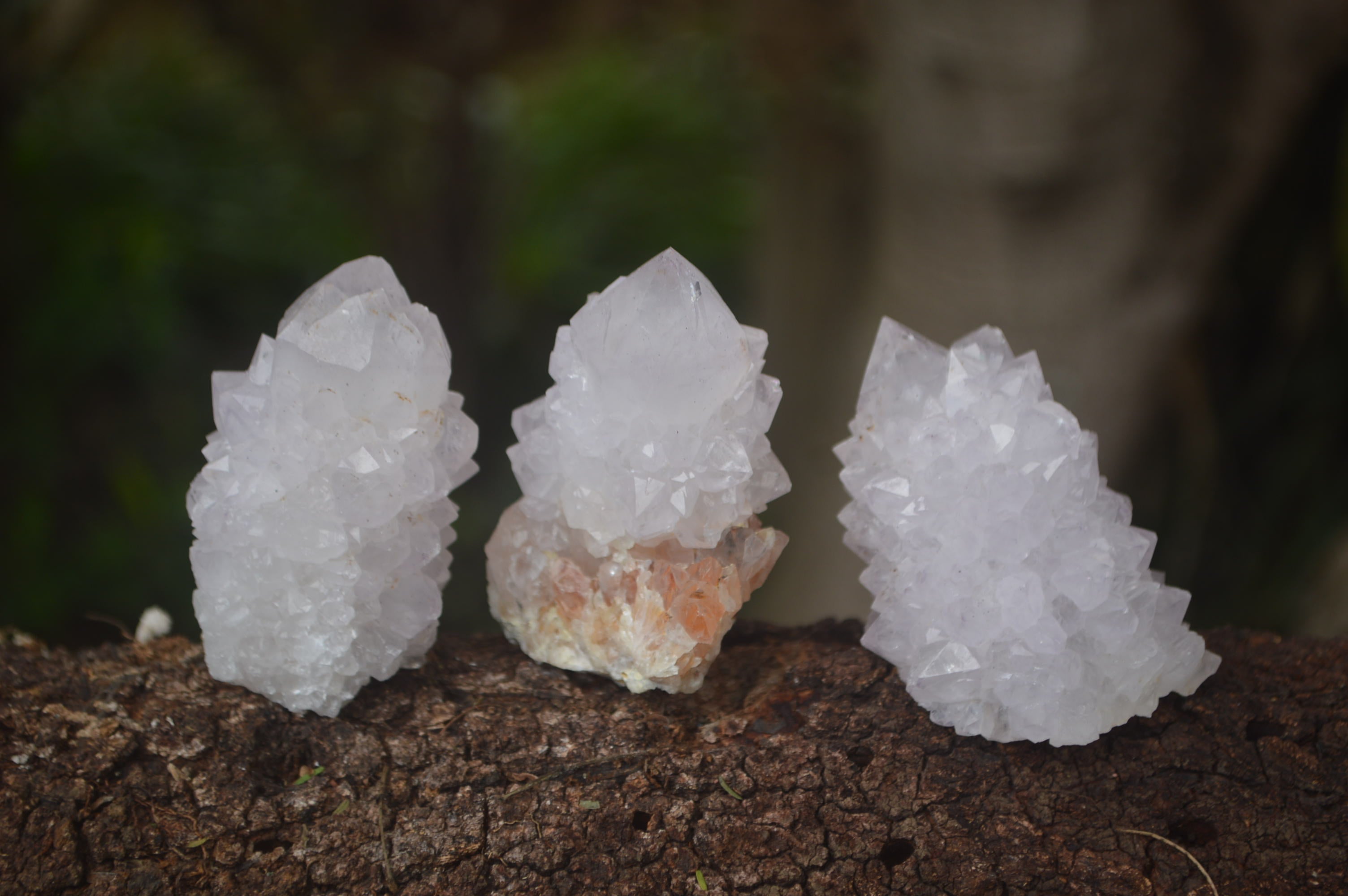 Natural Amethyst Spirit Quartz Clusters x 12 From Boekenhouthoek, South Africa - Toprock Gemstones and Minerals 