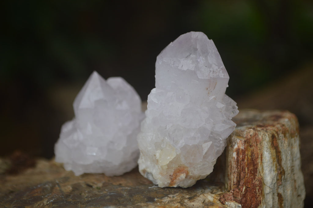 Natural Amethyst Spirit Quartz Clusters x 20 From Boekenhouthoek, South Africa - Toprock Gemstones and Minerals 