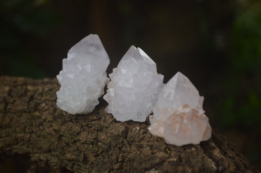 Natural Amethyst Spirit Quartz Clusters x 20 From Boekenhouthoek, South Africa - Toprock Gemstones and Minerals 