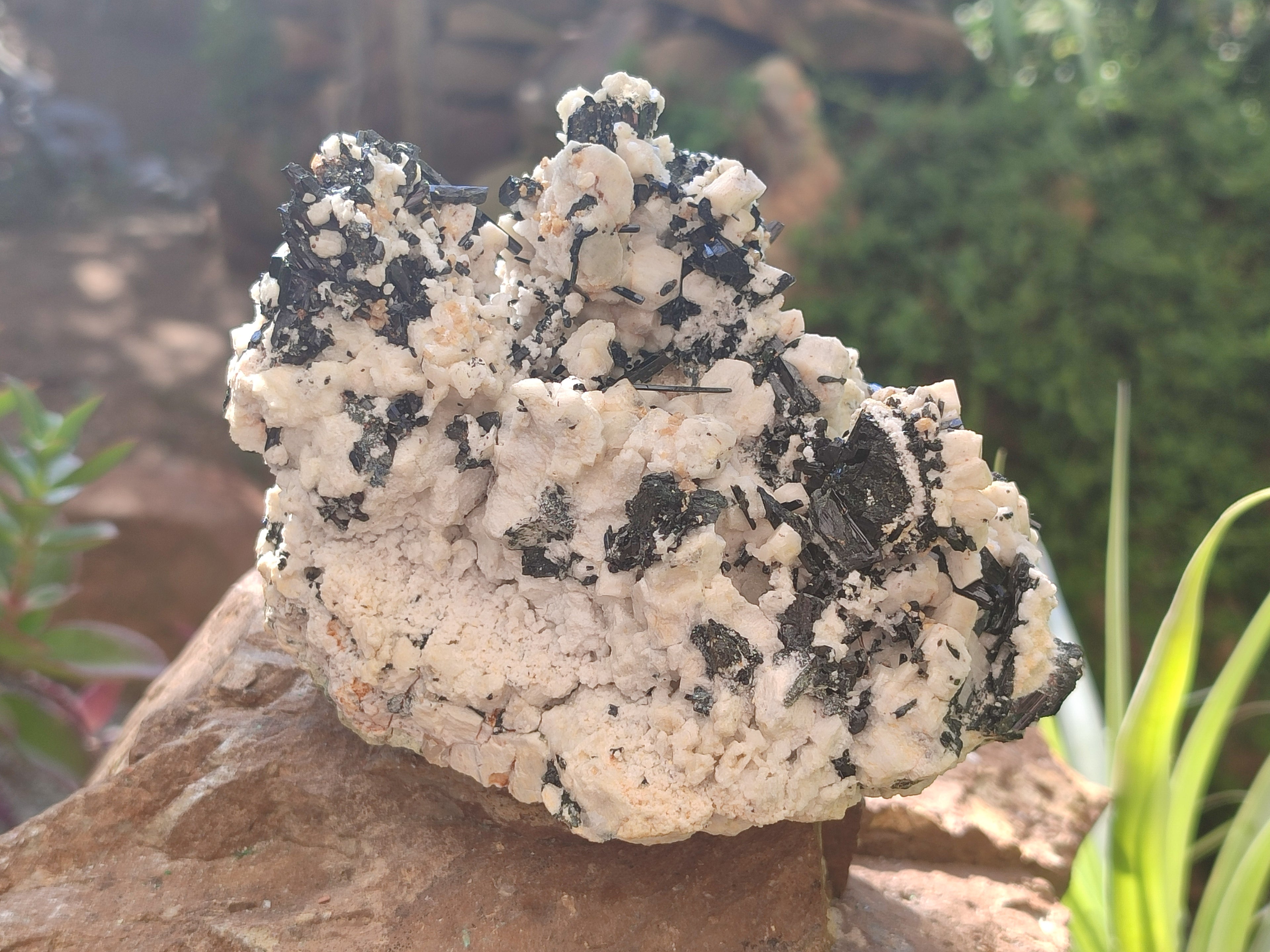 Natural Schorl Black Tourmaline Specimens x 2 From Erongo, Namibia - Toprock Gemstones and Minerals 