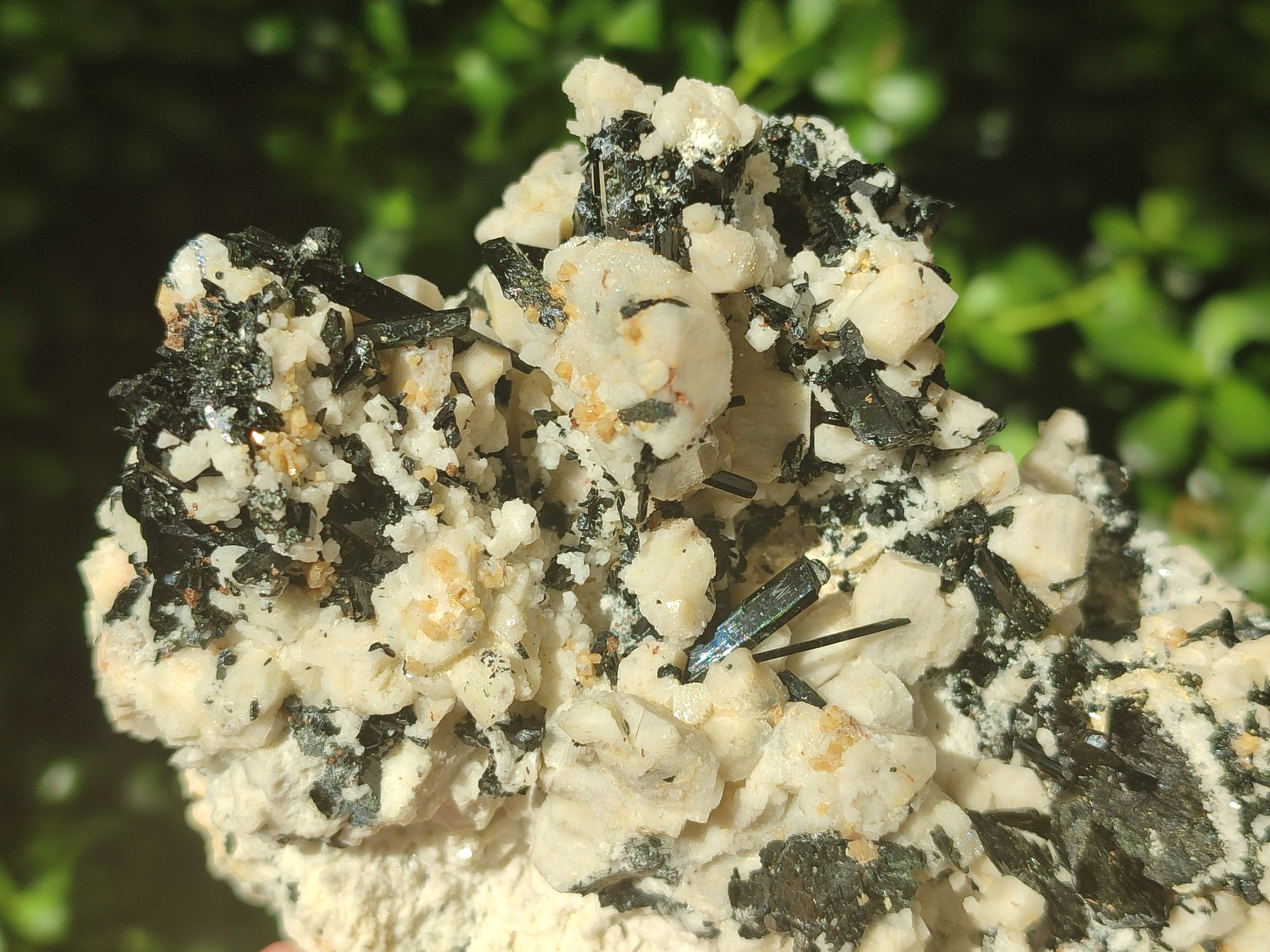 Natural Schorl Black Tourmaline Specimens x 2 From Erongo, Namibia - Toprock Gemstones and Minerals 