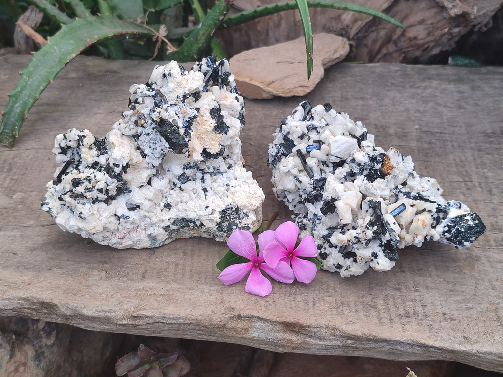 Natural Schorl Black Tourmaline Specimens x 2 From Erongo, Namibia - Toprock Gemstones and Minerals 
